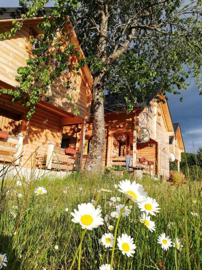 Sunny Hill Cabins Kolasin Exterior photo